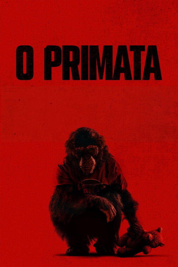 Primate